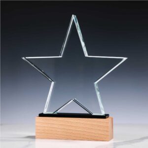 Star Shaped Crystal Awards - Image 4