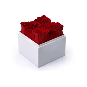 Forever Natural Flowers Gift Box White & Clear Acrylic Lid, 4Pcs Long Life Roses - Image 6